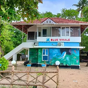  Couette-café Marari Blue Whale House